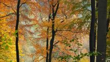 „Urgestein des Naturschutzes in Paderborn“ 